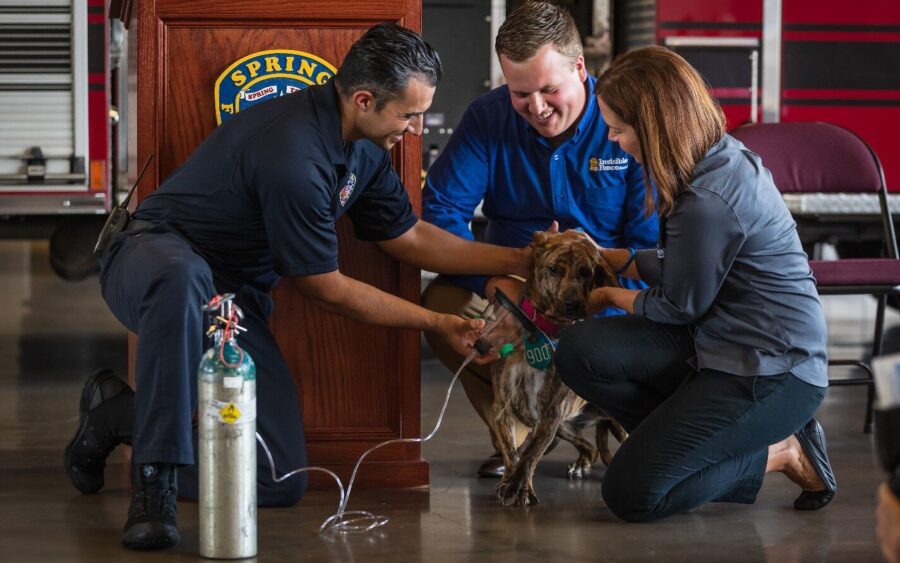 A firefighter and two people kneel around a dog, helping it with an oxygen mask in a fire station setting.