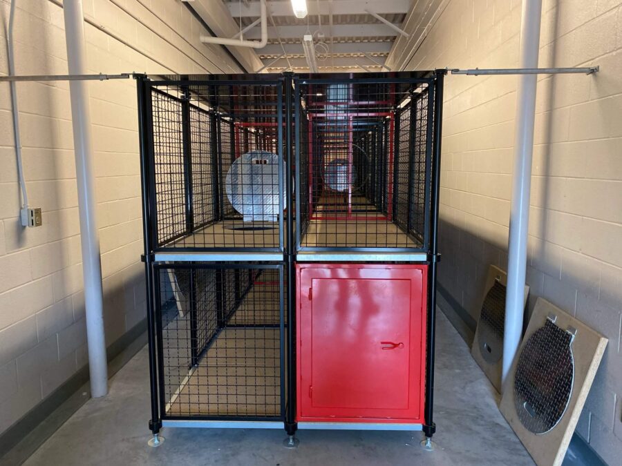 A set of stacked metal cages with mesh doors and one red panel, located in a brightly lit hallway with beige walls and a concrete floor.