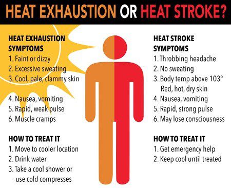 Comparison chart showing symptoms and treatments for heat exhaustion and heat stroke, with a human figure and lists of signs and treatment steps for each condition.